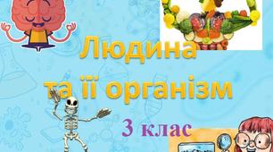 Контрольна робота.  Людина та її організм