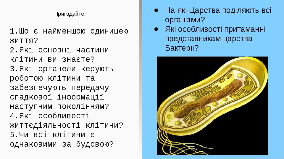 Пригадайте: 1.Що є найменшою одиницею життя? 2.Які основні частини клітини ви знаєте? 3.Які органели керують роботою клітини та забезпечують переда...