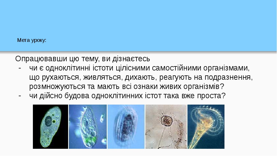 Мета уроку: Опрацювавши цю тему, ви дізнаєтесь чи є одноклітинні істоти цілісними самостійними організмами, що рухаються, живляться, дихають, реагу...