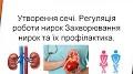 Посібник для проведення самостійних робіт з " Фізіології"