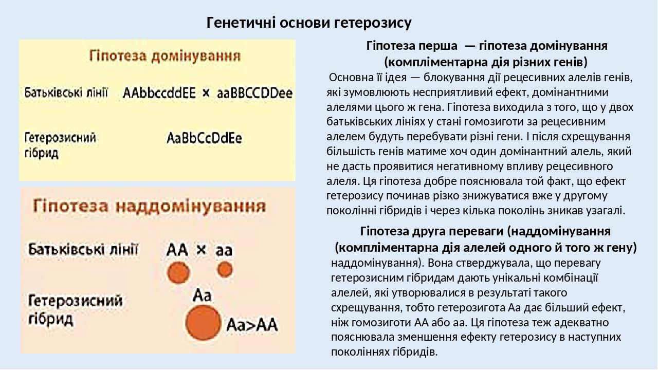 Презентация основы селекции 11 класс