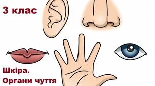 Шкіра. Як берегти шкіру. Органи чуття. Гігієна органів чуття.