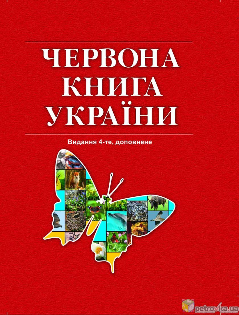 Черная книга фото