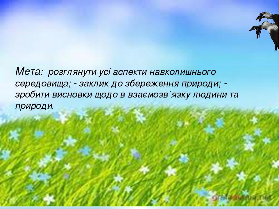 Мета: розглянути усі аспекти навколишнього середовища; - заклик до збереження природи; - зробити висновки щодо в взаємозв`язку людини та природи.