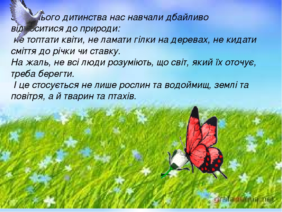 З раннього дитинства нас навчали дбайливо відноситися до природи: не топтати квіти, не ламати гілки на деревах, не кидати сміття до річки чи ставку...