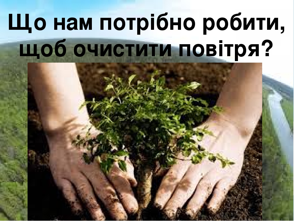 Що нам потрібно робити, щоб очистити повітря? Посадити дерево- може кожен!