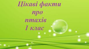 Цікаві факти про птахів  1 клас
