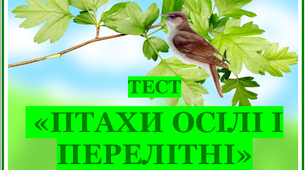 Птахи осілі і перелітні