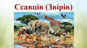 Індивідуальна картка з теми «Різноманітність ссавців»