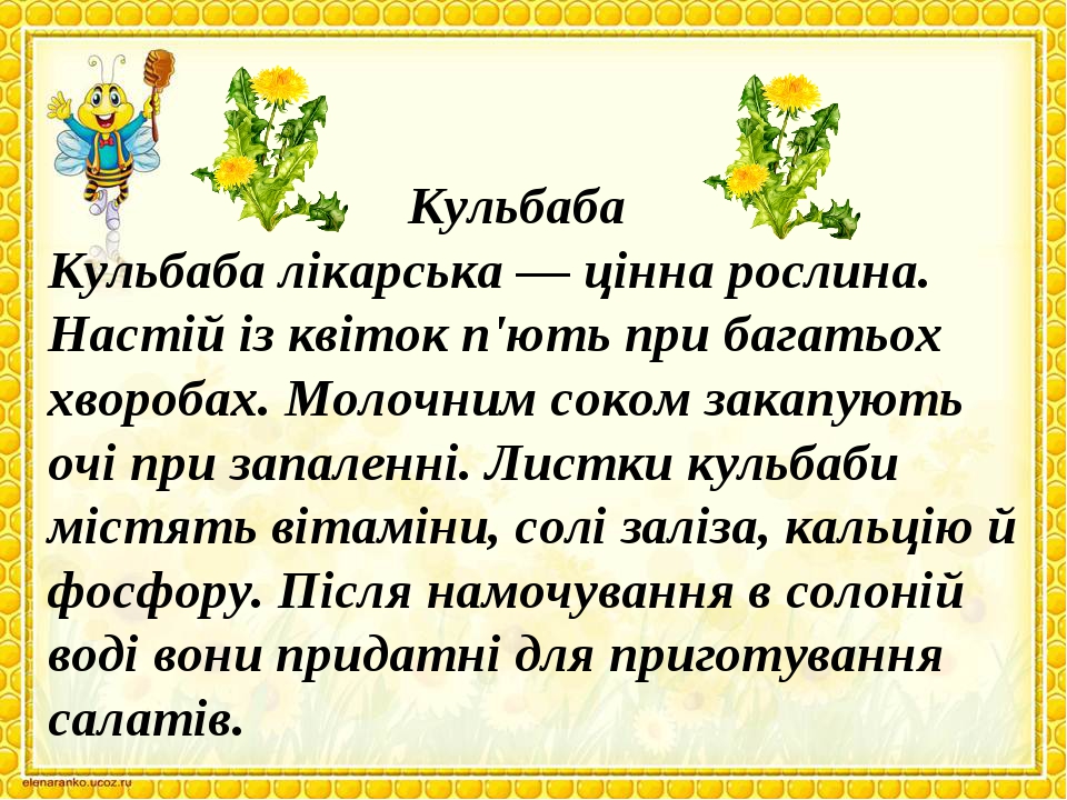 ÐšÑƒÐ»ÑŒÐ±Ð°Ð±Ð° ÐšÑƒÐ»ÑŒÐ±Ð°Ð±Ð° Ð»Ñ–ÐºÐ°Ñ€ÑÑŒÐºÐ° â€” Ñ†Ñ–Ð½Ð½Ð° Ñ€Ð¾ÑÐ»Ð¸Ð½Ð°. ÐÐ°ÑÑ‚Ñ–Ð¹ Ñ–Ð· ÐºÐ²Ñ–Ñ‚Ð¾Ðº Ð¿'ÑŽÑ‚ÑŒ Ð¿Ñ€Ð¸ Ð±Ð°Ð³Ð°Ñ‚ÑŒÐ¾Ñ… Ñ…Ð²Ð¾Ñ€Ð¾Ð±Ð°Ñ…. ÐœÐ¾Ð»Ð¾Ñ‡Ð½Ð¸Ð¼ ÑÐ¾ÐºÐ¾Ð¼ Ð·Ð°ÐºÐ°Ð¿ÑƒÑŽÑ‚ÑŒ Ð¾Ñ‡Ñ– Ð¿Ñ€Ð¸ Ð·Ð°Ð¿Ð°Ð»ÐµÐ½Ð½Ñ–. Ð›Ð¸ÑÑ‚ÐºÐ¸ ÐºÑƒÐ»ÑŒÐ±...