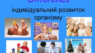 Онтогенез людини
