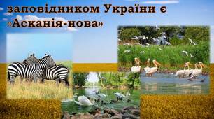 Презентація "Заповідні території України"