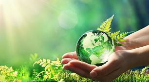 Environment