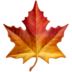 Maple Leaf