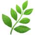 Herb