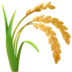 Sheaf of Rice
