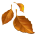 Fallen Leaf
