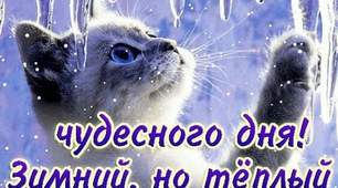 Геометрія-7. Контрольна робота за темою "Коло. Круг. Вписане в трикутник коло та описане коло навколо трикутника" 