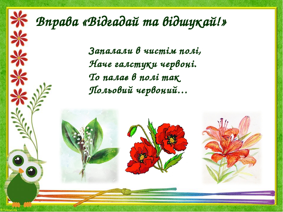 Вправа «Відгадай та відшукай!» Запалали в чистім полі, Наче галстуки червоні. То палає в полі так Польовий червоний…