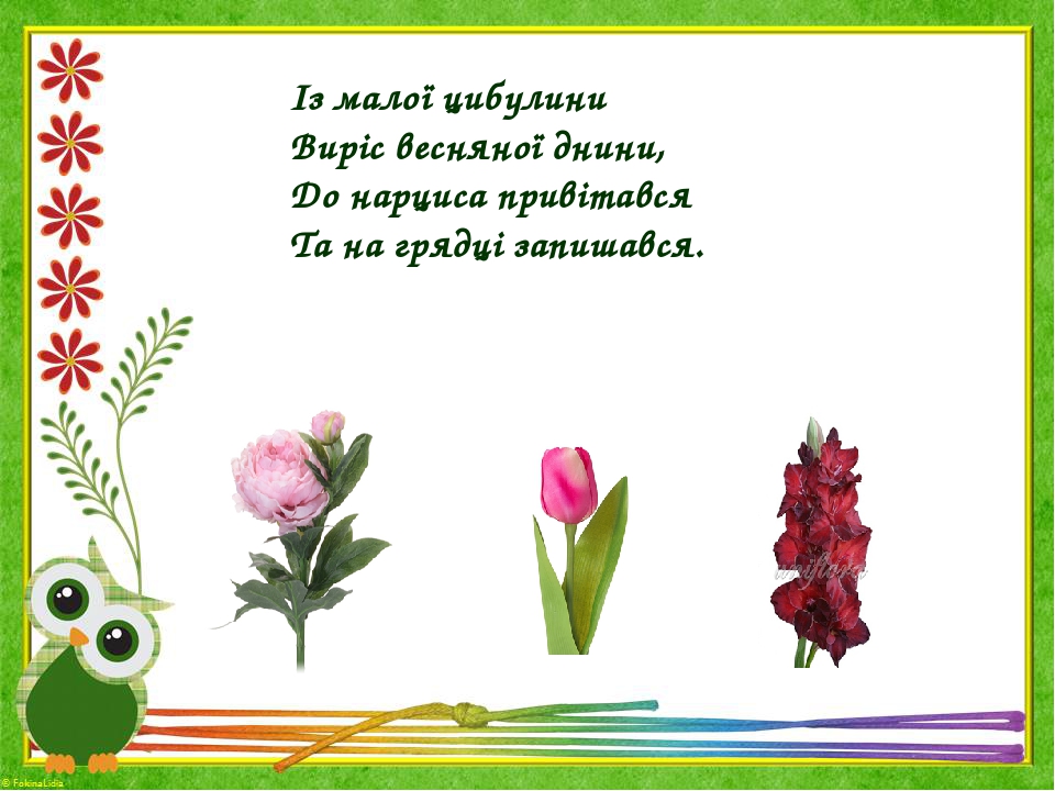 Із малої цибулини Виріс весняної днини, До нарциса привітався Та на грядці запишався.