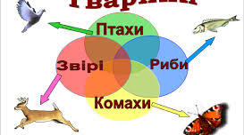 Діагностична робота з теми "Різновиди групи тварин" 