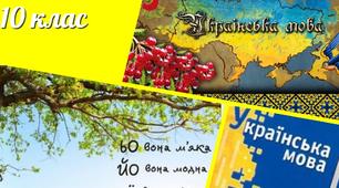 Контрольна робота. Морфологія. Варіант 2.