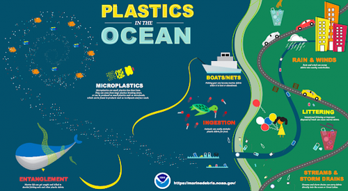 Pollution Solution: Earth Day & the Great Pacific Garbage Patch ...