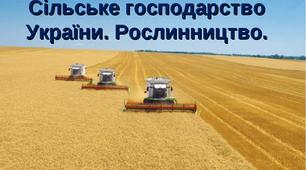 Презентація до уроку  географії у 9 класі з теми " Сільське господарство України. Рослинництво."