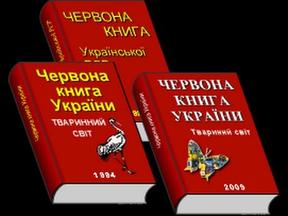 Червона книга України_ тваринний світ - YouTube