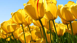 «Формування креативно – емпатичних здібностей учнів засобами української  літератури як шлях розвитку самоосвітньої  компетентності.»