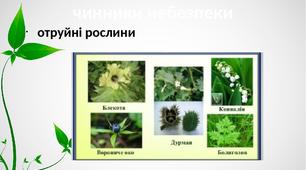 Біологічна безпека та основні напрямки її реалізації